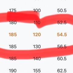 大きいサイズ　キルティングコート　未使用品の画像