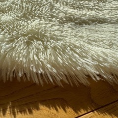 洗える　円形ラグ　カーペットの画像