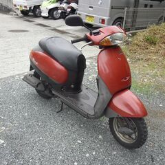 HONDA  tact  タクト (AF51) コスメチックレッドの画像