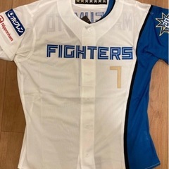 プロコレ　北海道日本ハム　松本剛　の画像