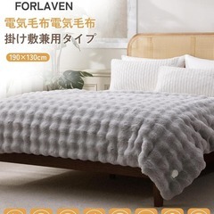 電気毛布 掛け敷き兼用 190×130cm リバーシブル 丸洗い ライトグレーの画像