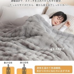 電気毛布 掛け敷き兼用 190×130cm リバーシブル 丸洗い ライトグレーの画像