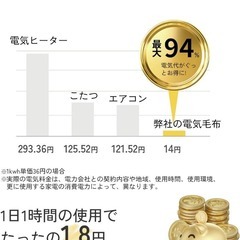 電気毛布 掛け敷き兼用 190×130cm リバーシブル 丸洗い ライトグレーの画像