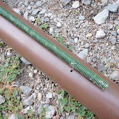 ウナギ筒　の画像