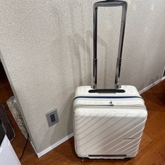 シロ旅行キャリーばつバックの画像