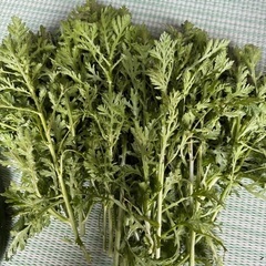 ひらたね柿種無し、大根、白菜、春菊などの画像