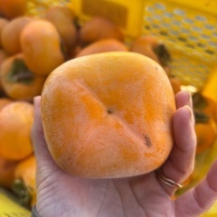 ひらたね柿種無し、大根、白菜、春菊などの画像