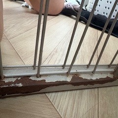 ペットサークル　グレージュ　100cmの画像