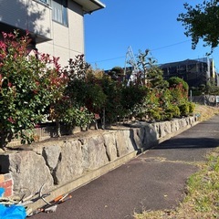 お家を綺麗に✨ 草刈り 除草作業 駐車場洗浄 一戸建て外壁の塗装...