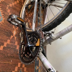 オールドマウンテン　ダイヤモンドバックの画像