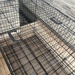 大型犬用ゲージの画像