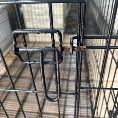 大型犬用ゲージの画像