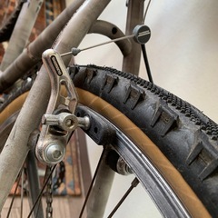 オールドマウンテン　ダイヤモンドバックの画像