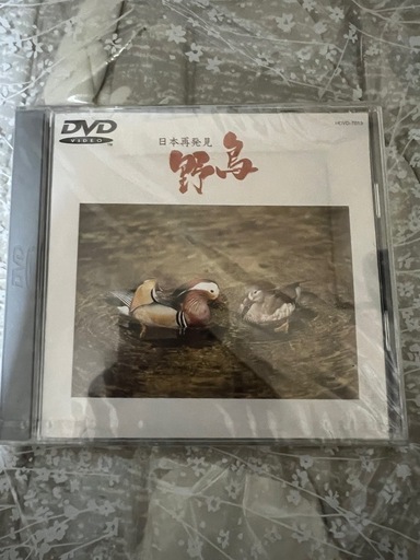 日本再発見やちょう野鳥