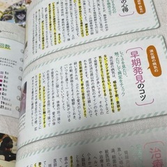 古本 いぬのきもち 犬の気持ち　の画像