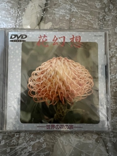 奈良幻想 - 春の祭典 お水取り - DVD