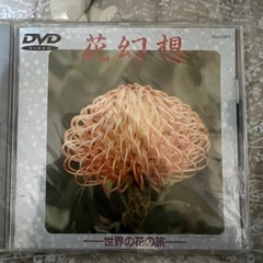 奈良幻想 - 春の祭典 お水取り - DVD の画像