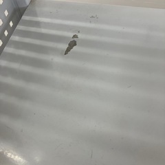 棚ステンレス製キャタツ付きの画像