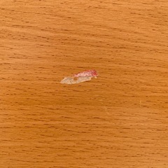 おもちゃ棚
の画像