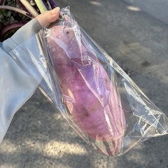【紫大根1本】本庄産　野菜　無農薬　販売　まとめ売り　セットの画像