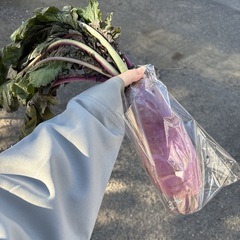 【紫大根1本】本庄産　野菜　無農薬　販売　まとめ売り　セットの画像
