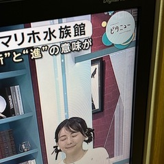 シャープ液晶テレビ32型
の画像