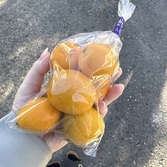 【金柑約8個】本庄産　野菜　無農薬　販売　まとめ売り　セットの画像