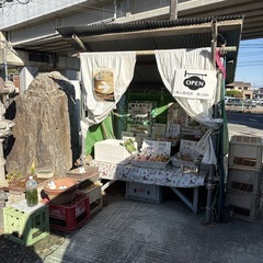 【金柑約8個】本庄産　野菜　無農薬　販売　まとめ売り　セットの画像