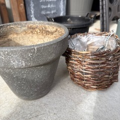 5号植木鉢の画像