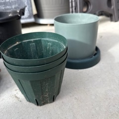 5号植木鉢の画像