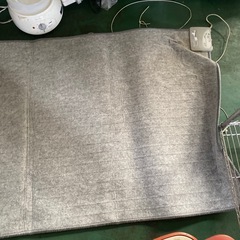 ホットカーペットの画像