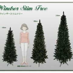 高い ☆ Xmasツリー！(スリムタイプ)の画像