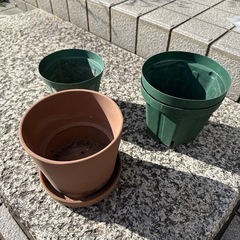 5号植木鉢の画像