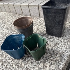 5号植木鉢の画像