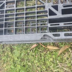 軽量プラスチックパレット 100×120cm 複数ありの画像