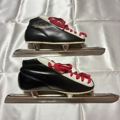 スピードスケート 20cmの画像