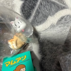 マムアンちゃん　未使用の画像