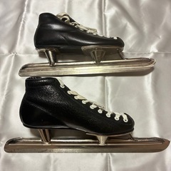 スピードスケート 22cmの画像