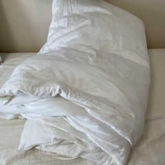 ニトリ 抗菌防臭防ダニ 掛け布団 紐のないカバー セット セミダブルの画像