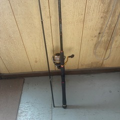 シーバスロッドの画像