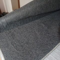 ニトリ　ホットカーペットの画像