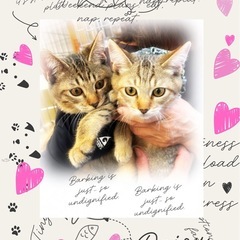 🩵はち君、れい君トライアル決定🩵