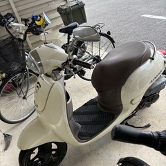 AF70 写真追加分 早期取引にて手6.5の画像