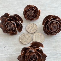 シダーローズ(バラの形の松ぼっくり)の画像