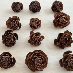 シダーローズ(バラの形の松ぼっくり)の画像