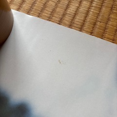 日本ダービーポスター　アグネスフライトの画像