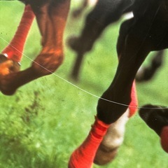 日本ダービーポスター　アグネスフライトの画像