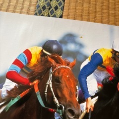 日本ダービーポスター　アグネスフライトの画像