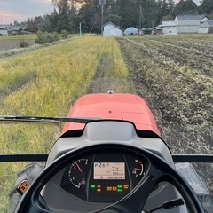 25年産_コシヒカリ_10kg_配達近ければ無料　の画像