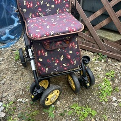 シルバーカーの画像